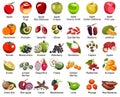 Collection of 35 Fruits icons Ã¢â¬â Part 2 - All types of apples and some tasty exotic fruits